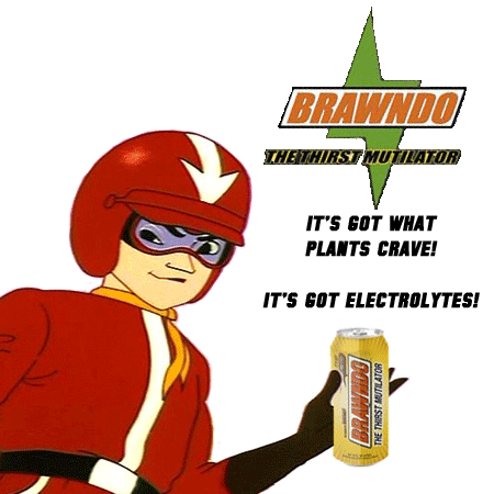 It's Got Electrolytes!