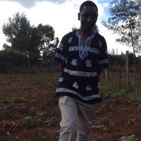 @Mogeni (@nyarondia) 's Twitter Profile Photo