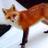 rlawo001's profile image