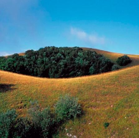 Il Monte Subasio e #Assisi sono i luoghi in cui viviamo e a cui siamo intimamente legati. Con questo blog vogliamo far conoscere a tutti questa meraviglia.