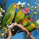 khalil mubarak - @fatima_ameen - Twitter