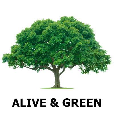 Alive & Green offers resources for a healthy and sustainable lifestyle. We provide a directory of natural, eco-friendly, organic products and services.