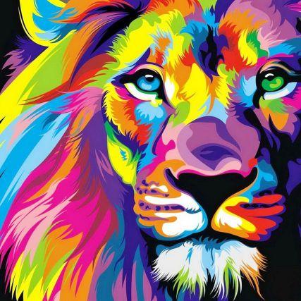 BenediktKolk's profile picture. 