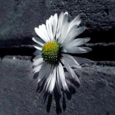 أم لأجمل طفل❤️🍃 ‏                    أخصائية علاج طبيعي..'
