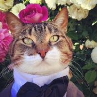 my_furry_babies (@my_furry_babies) 's Twitter Profile Photo