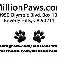 A Million Paws of Hope.  New website coming soon.