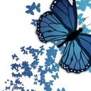 Cindy Barrientos - @CindyBarrient95 - Twitter