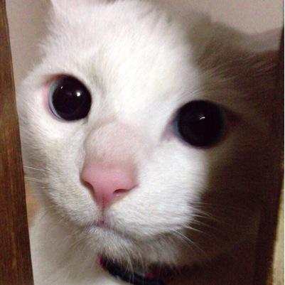 b_face_love's profile picture. 