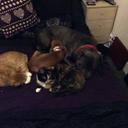 Matthew Murdoch - @madmurdoch1972 - Twitter