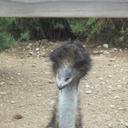 Mike Russ - @mjruss12 - Twitter