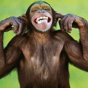 leroy_sinclair's profile picture. 