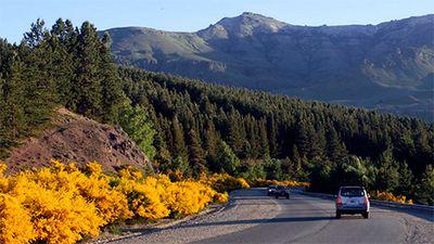 vigustga5's profile picture. 