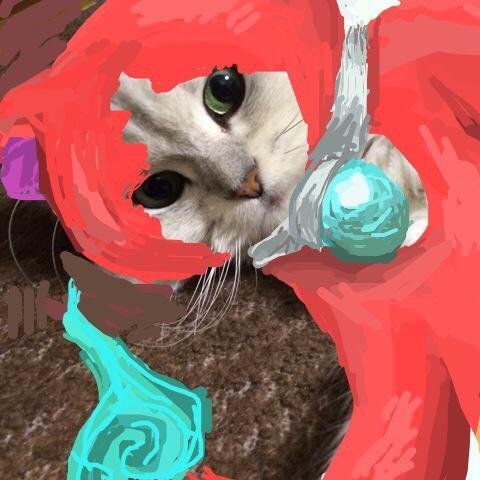 karimikarimiのサブアカです。