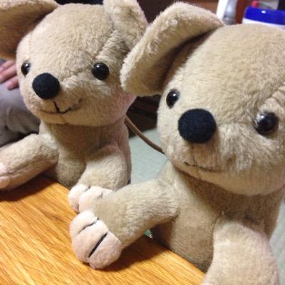 勉強垢/stunguin/神奈川県/高3/文系/一般で看護学科目指してます！フォローお願いします( ˊᵕˋ* )♩