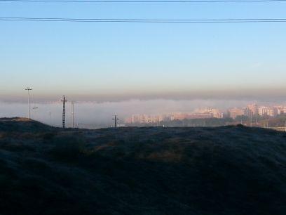 RecioDavila's profile picture. 