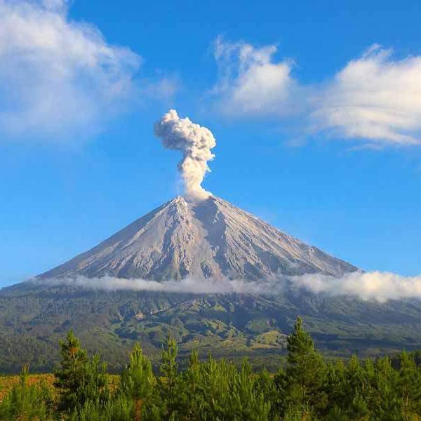 fahri_pecker's profile picture. 