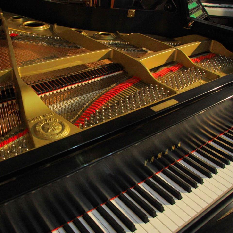 MtnViewMusic's profile picture. Music Education, Studio Production and Engineering, Live Sound.