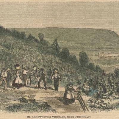 MtAwesome_'s profile picture. Mt. Adams will forever be known as Mt. Awesome from this day forward