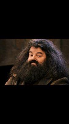 Hagridland's profile picture. Semi-gigante que habita en la cabaña de Hogwarts. Me gusta criar dragoncitos. #Pottertty