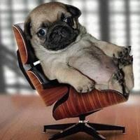 걀걀콩 (@gyalgyalkong) 's Twitter Profile