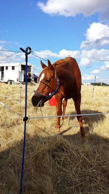 jaynerathb's profile picture. 