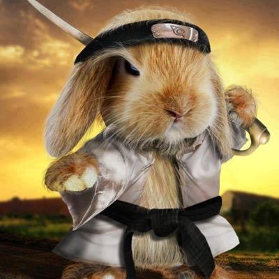 elprofessor0407's profile picture. 