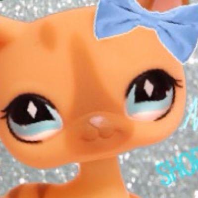 hey it's me kittygrace 99 from lpstube ... well im new to twitter so yay hope u guys love my page dont forget to sub on lpstube or follow on twitter