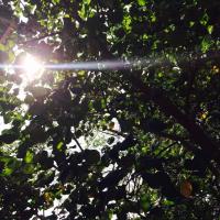 Bronwyn Hajek (@bronbh) 's Twitter Profile
