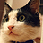 shita's profile picture. Cloud, Security, Identity, Bigdata . The opinions expressed here are my own, and no other party necessarily agrees with them.