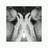 CMDG_23's profile image
