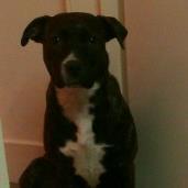 dj choppa (@choppa19771) 's Twitter Profile Photo