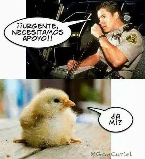 yo estuduio