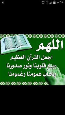 expert1388's profile picture. 