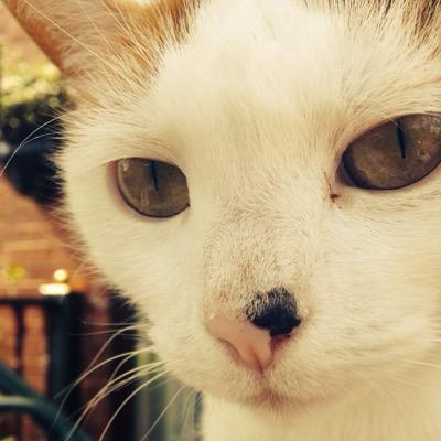 sophie4812's profile picture. leeds follow for a follow beth mcgees ma main x