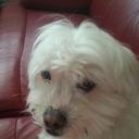 Kaitlin Rushton - @a1d44fd9c20e4f5 - Twitter