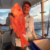 david mctague (@davemctague) 's Twitter Profile