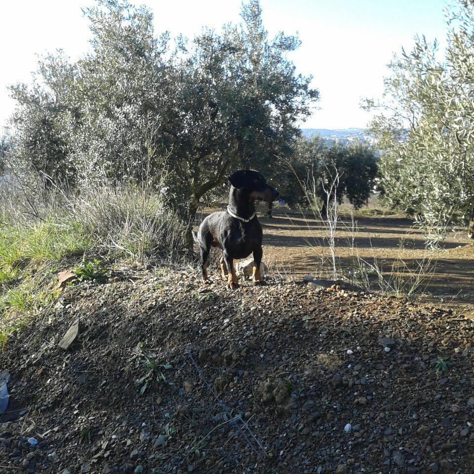 Dan_i_ElG's profile picture. 