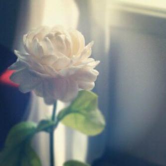سبحان الله وبحمده سبحان الله العظيم ♡.