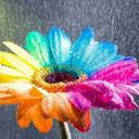 رماديه (@22RAMAD) Twitter