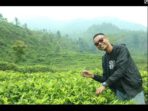 arieghanesha99's profile picture. Follower allah swt & muhamad saw. Universty stimart-amni SMG #GGMU Manchester United