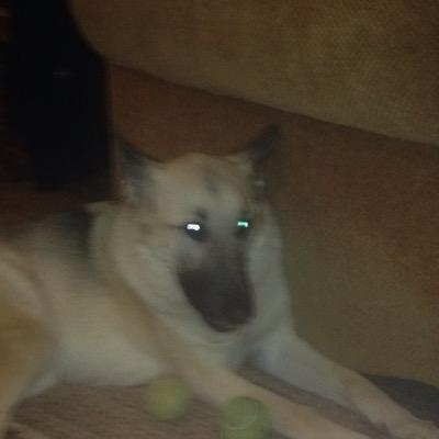 apinter897's profile picture. 