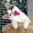 Megdolyn's profile image
