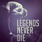 Gavin_meows's profile picture. its all good in the hood