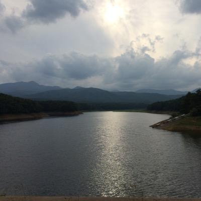 sykqd317's profile picture. 