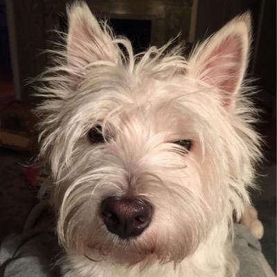 Ann-Charlott Mankell