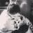 Blanca_Galvez_'s profile image