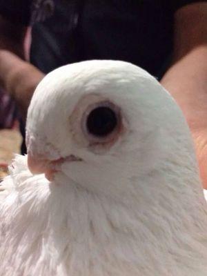 chPdlc2PPBFfUcw's profile picture. 