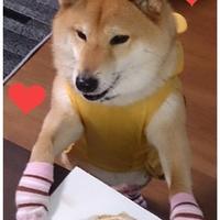 じろたん (@0209chie) 's Twitter Profile