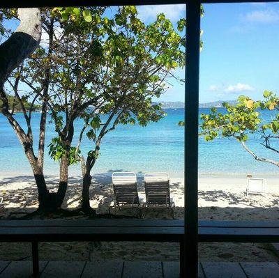 canescopyguy's profile picture. 