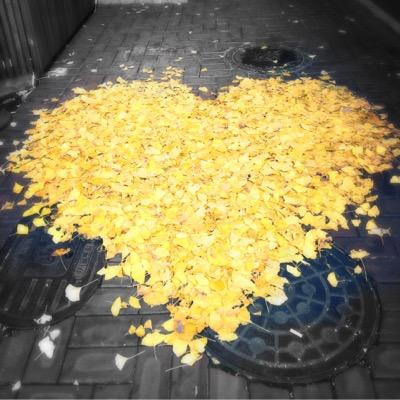 edenyisol's profile picture. 